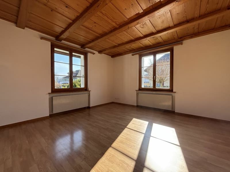Appartamento di 4 camere in una casa di 5 famiglie (7)