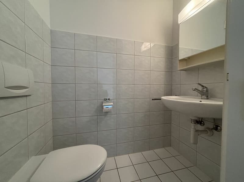 4 1/2-ROOM-OLD-BUILDING-APARTMENT (9)