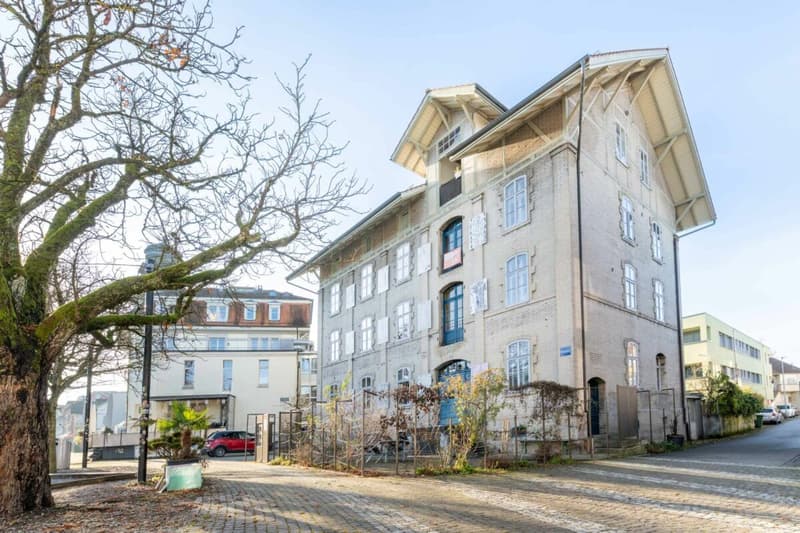 Appartement exceptionnel de 5,5 pièces avec annexe de 2 pièces (15)