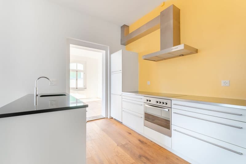 Appartement exceptionnel de 5,5 pièces avec annexe de 2 pièces (4)