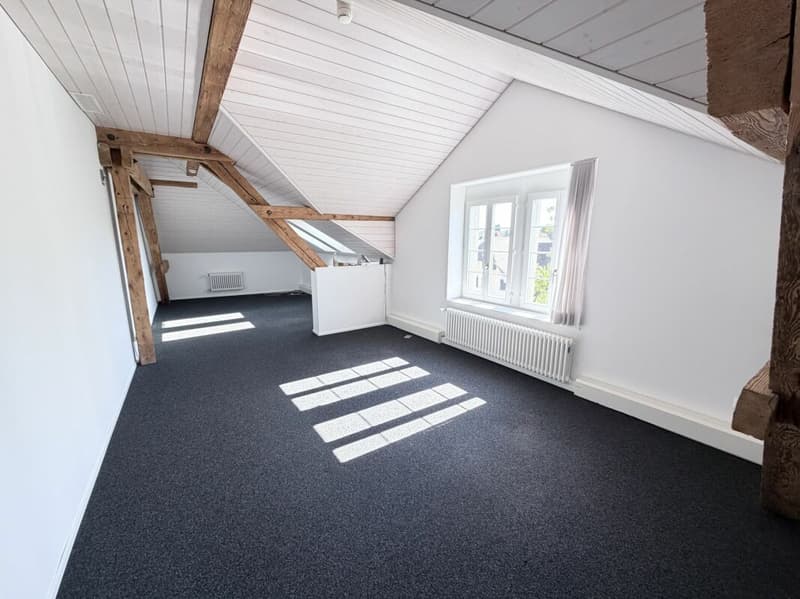 Exklusive Büroräume im Stadtzentrum (Total 285m²) (9)