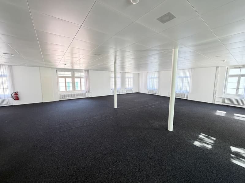 Exklusive Büroräume im Stadtzentrum (Total 285m²) (6)