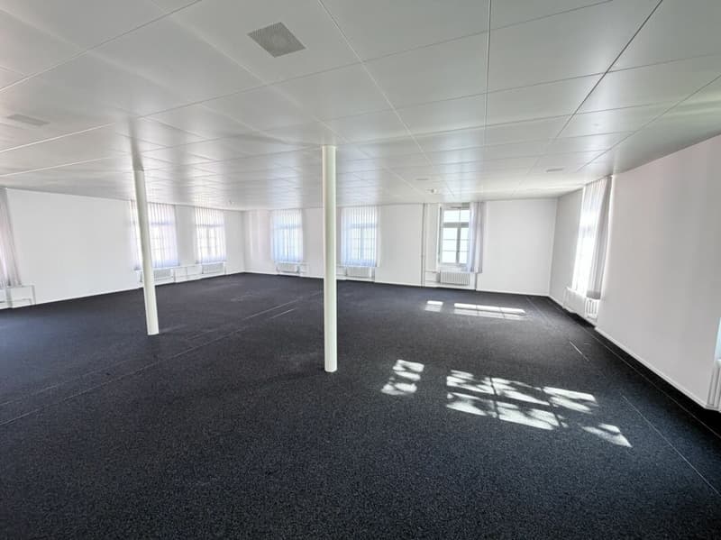 Exklusive Büroräume im Stadtzentrum (Total 285m²) (7)