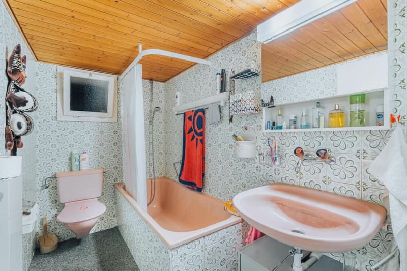 Multi-Generational Living in Melchnau (over 280 m2 Living Space) (23)