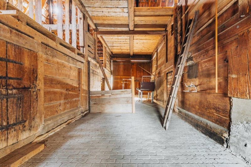 Historic farmhouse with development potential in the village center of Madiswil (24)