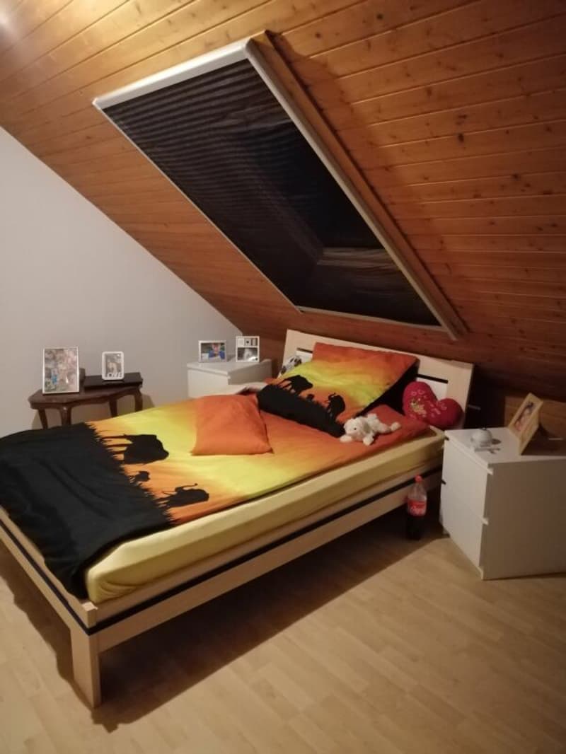 2 1/2-Zimmer-Dachwohnung im Grünen (8)