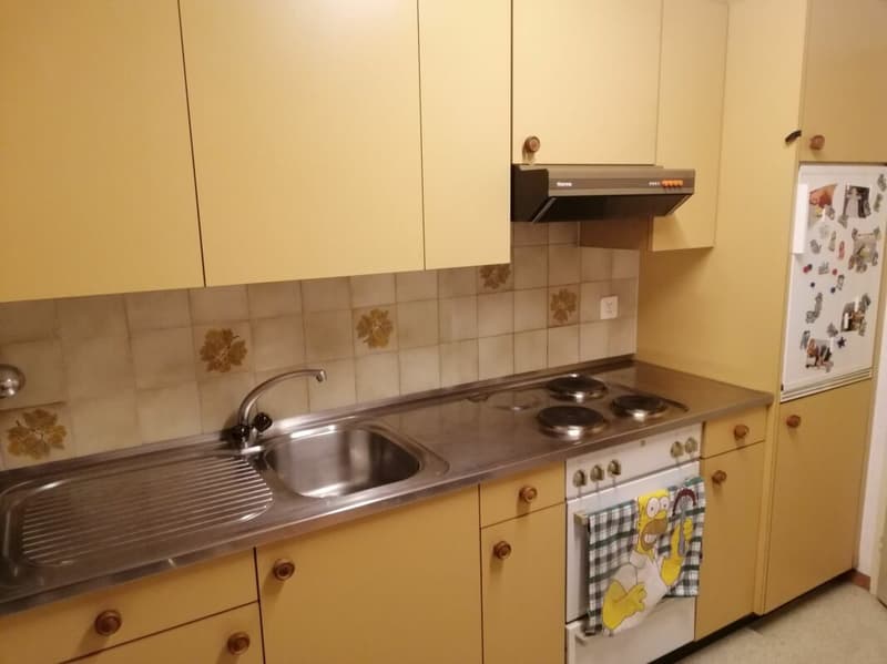 2 1/2-Zimmer-Dachwohnung im Grünen (9)