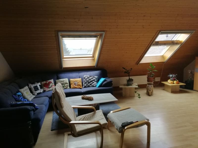 2 1/2-Zimmer-Dachwohnung im Grünen (3)