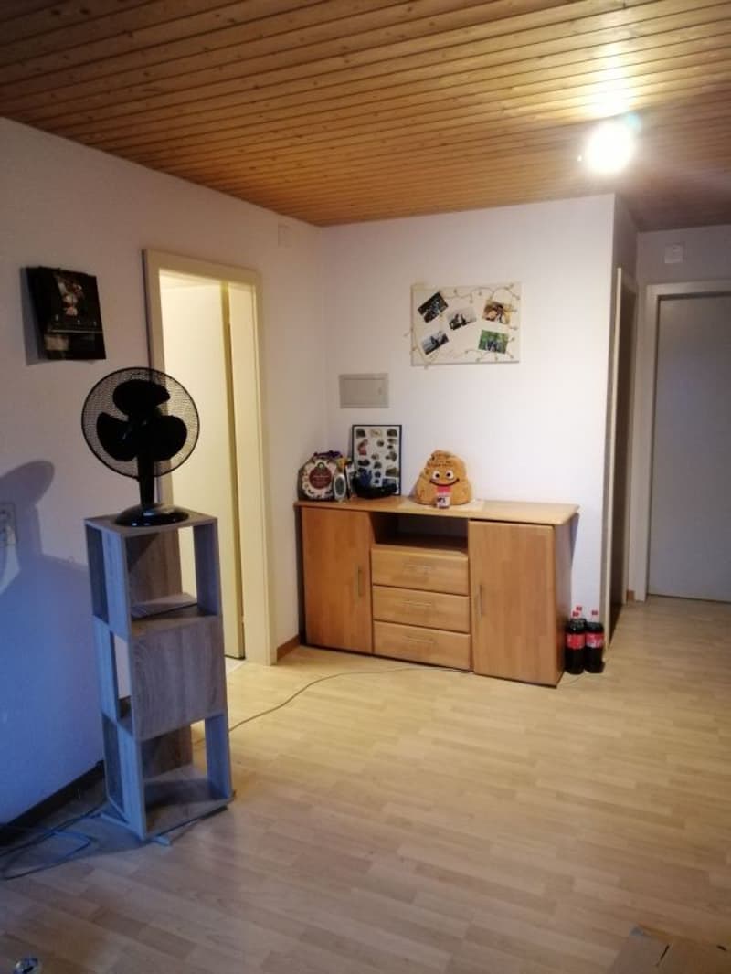 2 1/2-Zimmer-Dachwohnung im Grünen (6)