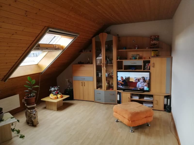 2 1/2-Zimmer-Dachwohnung im Grünen (5)