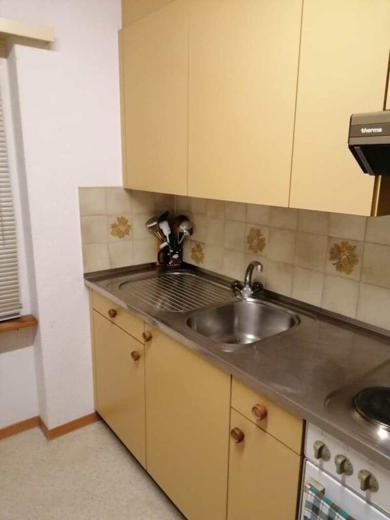2 1/2-Zimmer-Dachwohnung im Grünen (10)