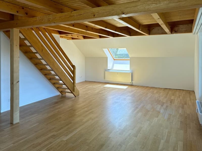 Renovated 4 1/2-room attic apartment with gallery (3)