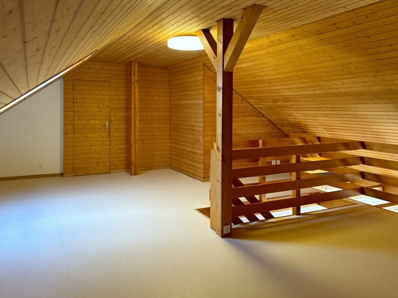 Renovated 4 1/2-room attic apartment with gallery (9)