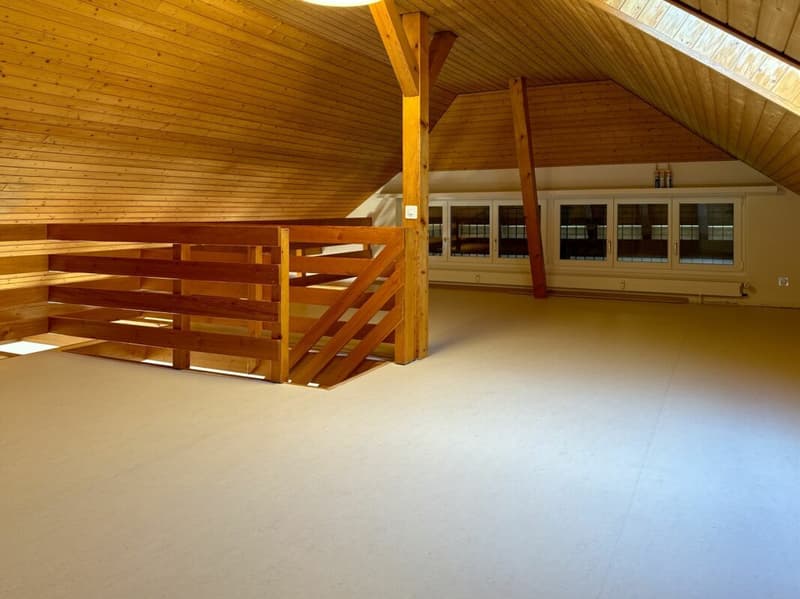 Renovated 4 1/2-room attic apartment with gallery (10)
