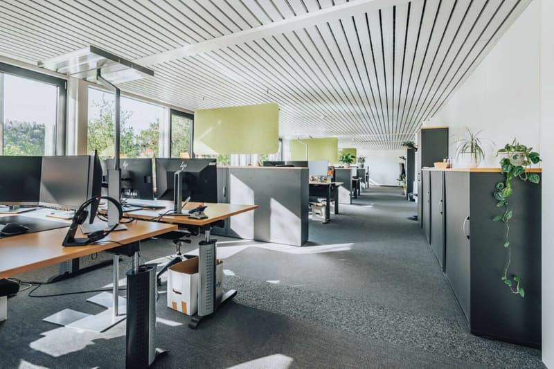 Representative commercial property in the town center: versatile and in top condition (5)