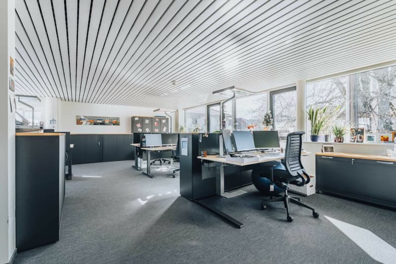 Representative commercial property in the town center: versatile and in top condition (7)