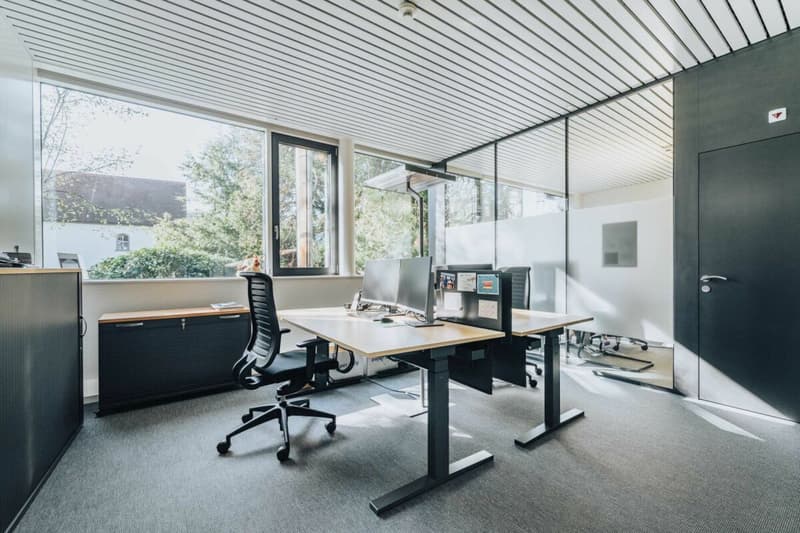 Representative commercial property in the town center: versatile and in top condition (10)