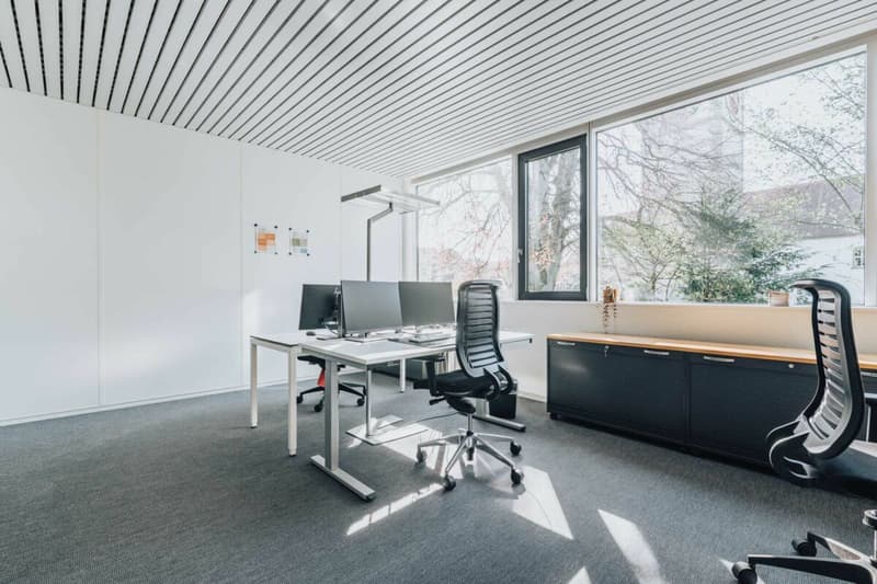 Representative commercial property in the town center: versatile and in top condition (8)