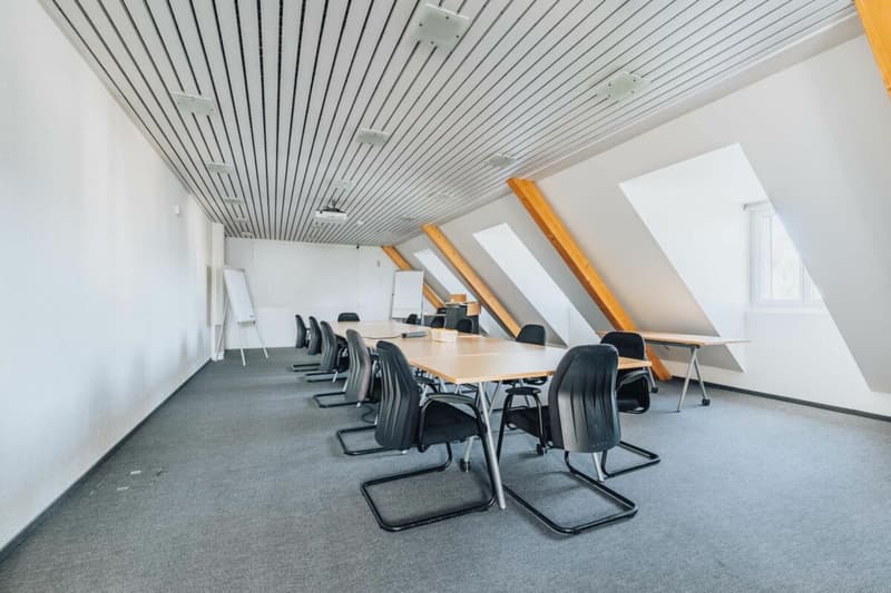 Representative commercial property in the town center: versatile and in top condition (12)