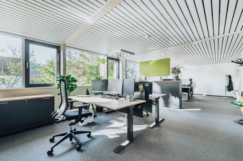 Representative commercial property in the town center: versatile and in top condition (6)