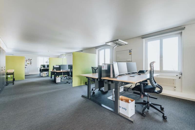 Representative commercial property in the town center: versatile and in top condition (11)
