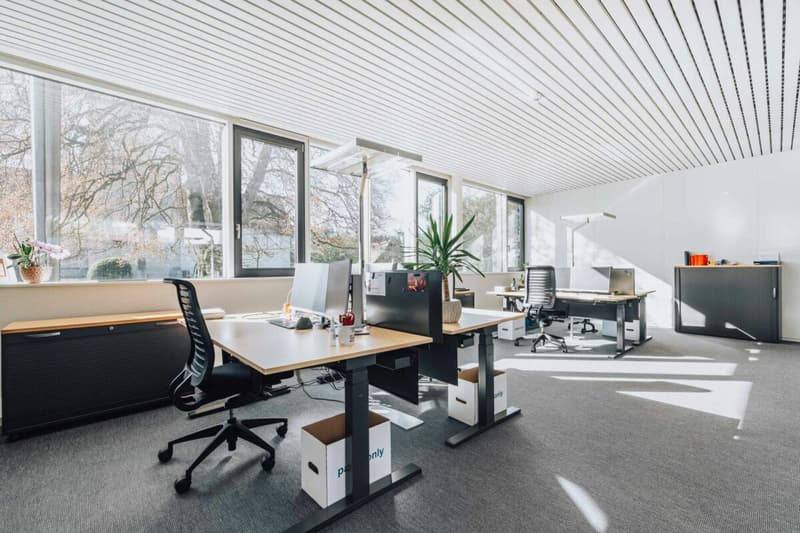 Representative commercial property in the town center: versatile and in top condition (9)