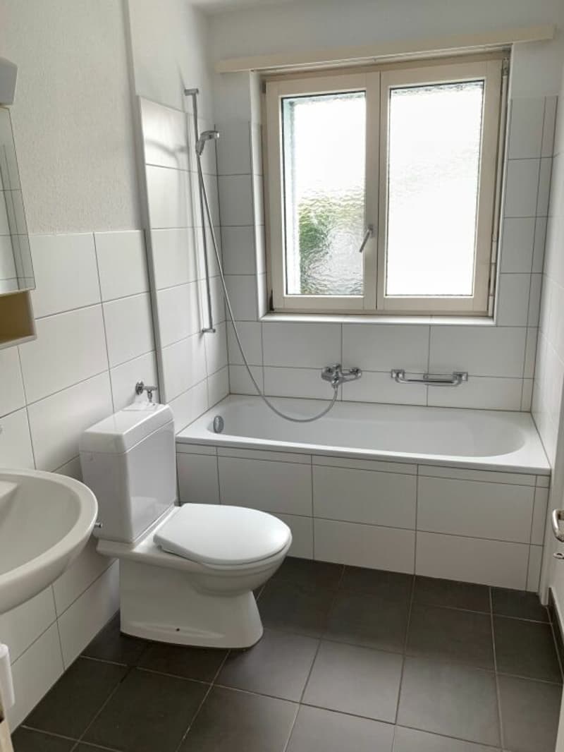 Appartamento di 4,5 locali in una posizione preferita su Hinterbergweg (4)