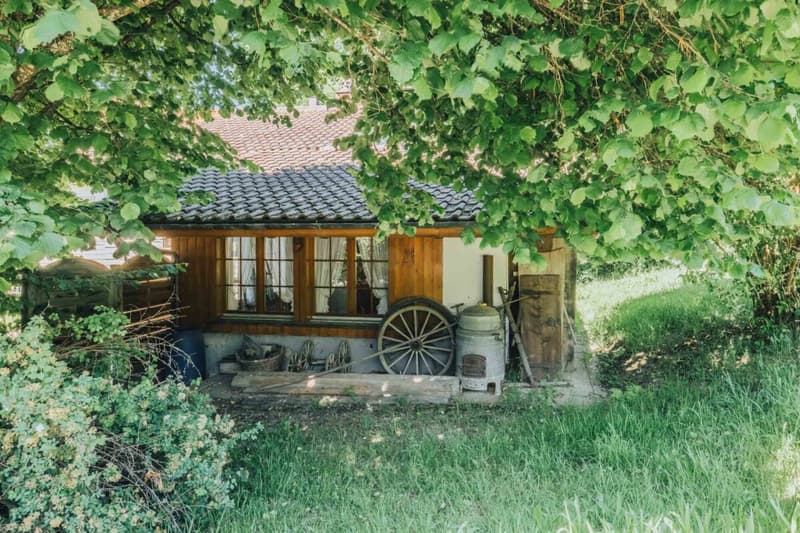 Casa unifamiliare affascinante con giardino e molto potenziale a Melchnau (4)