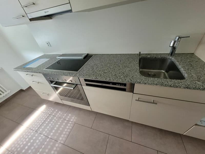 Appartamento di 2 camere al 2° piano (3)