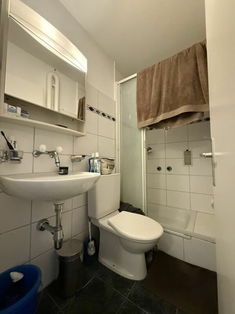 Appartamento di 2 camere al 2° piano (7)