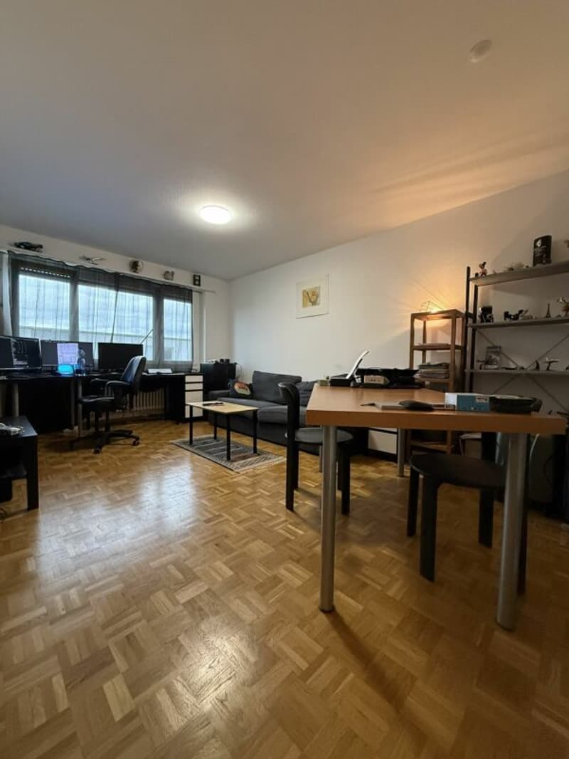 Appartamento di 2 camere al 2° piano (6)