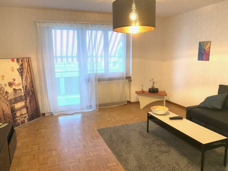 Appartamento di 3 camere in quartiere tranquillo (2)