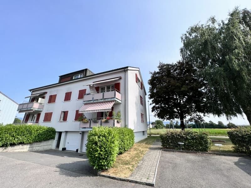 Appartamento di 3 camere in quartiere tranquillo (1)