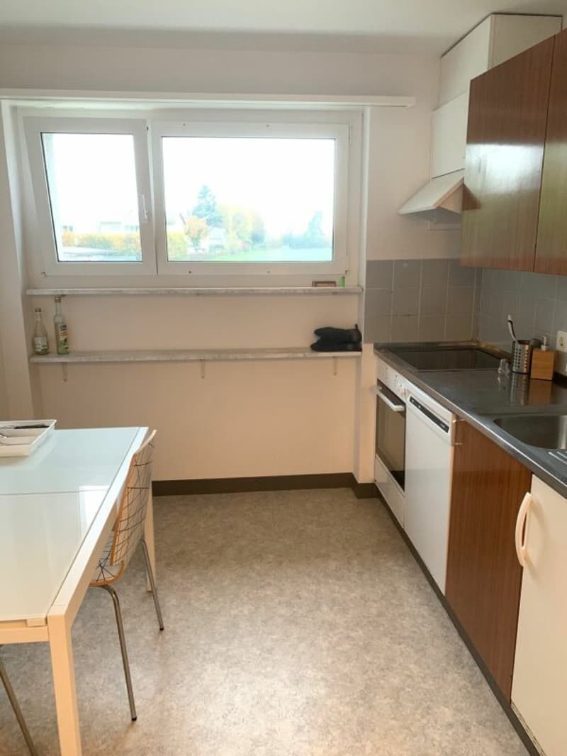 Appartamento di 3 camere in quartiere tranquillo (3)