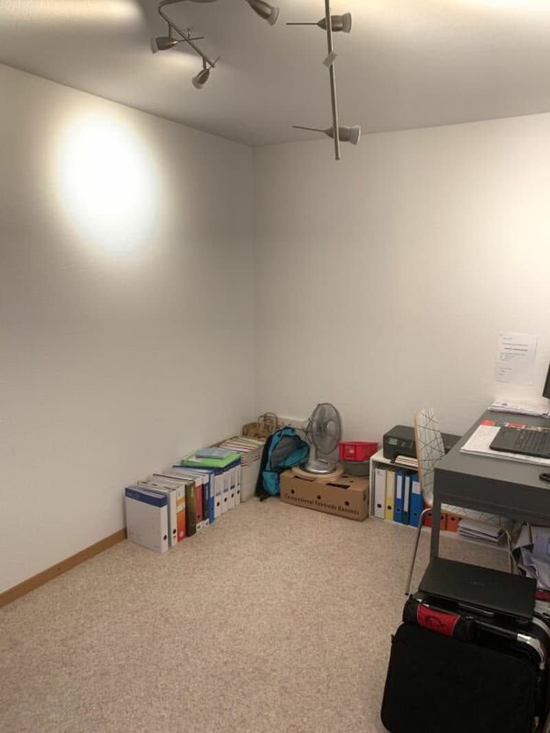 Appartamento di 3 camere in quartiere tranquillo (5)