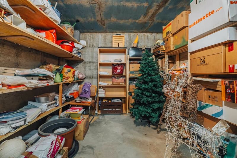 3-Party MFH with many ancillary rooms + garages (25)