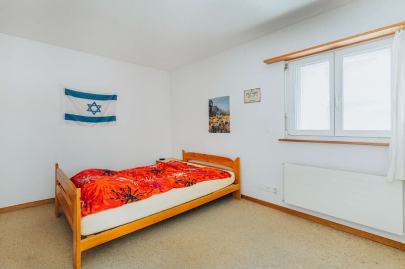 3-Party MFH with many ancillary rooms + garages (22)