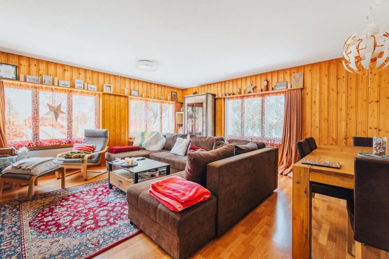 3-Party MFH with many ancillary rooms + garages (8)
