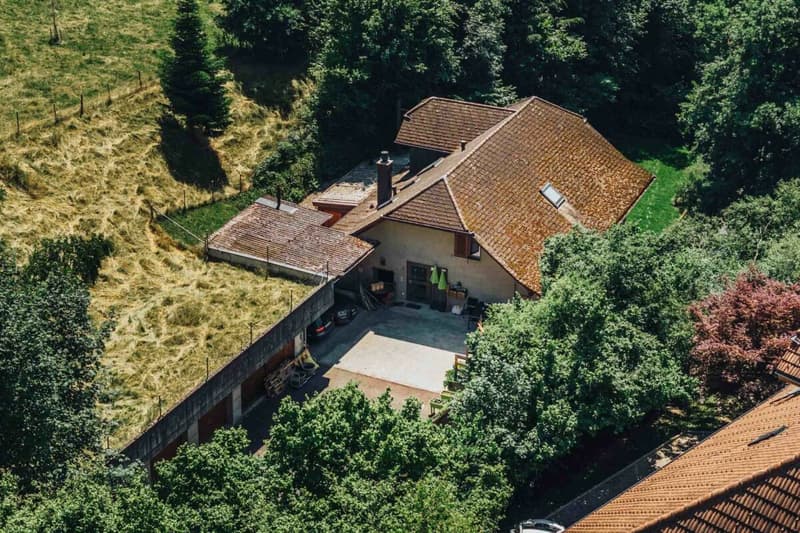 3-Party MFH with many ancillary rooms + garages (3)