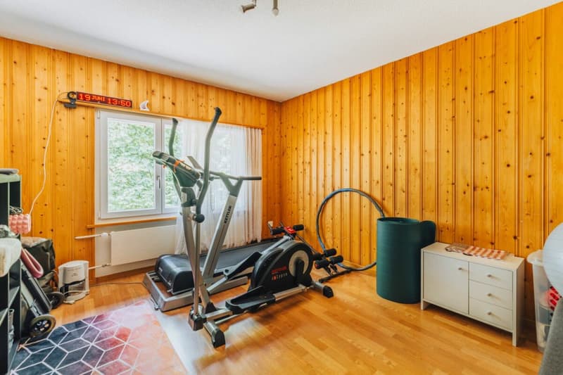 3-Party MFH with many ancillary rooms + garages (11)