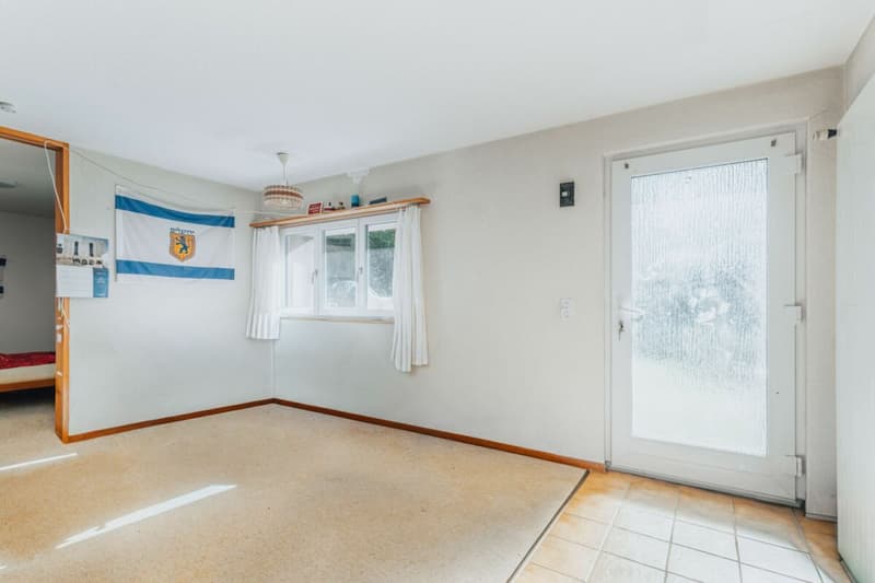 3-Party MFH with many ancillary rooms + garages (21)