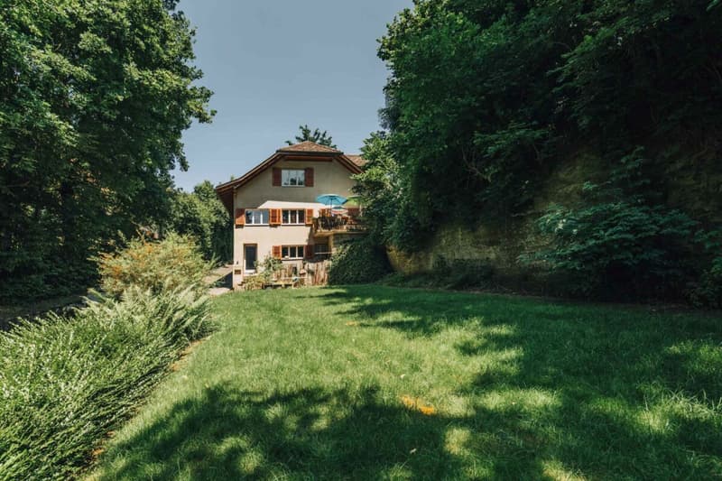 3-Party MFH with many ancillary rooms + garages (5)
