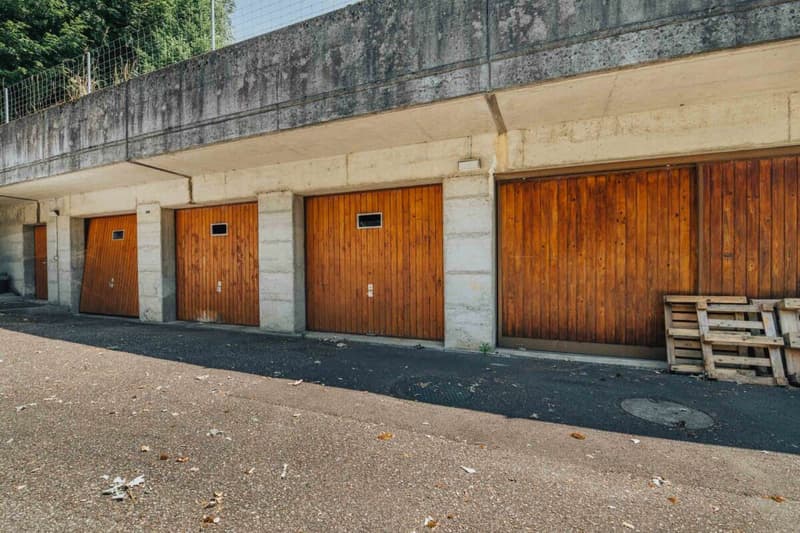 3-Party MFH with many ancillary rooms + garages (6)