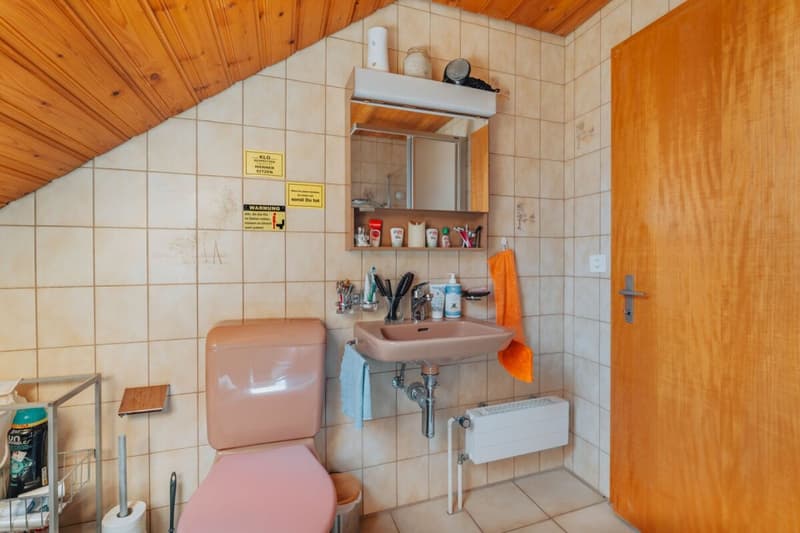 3-Party MFH with many ancillary rooms + garages (19)