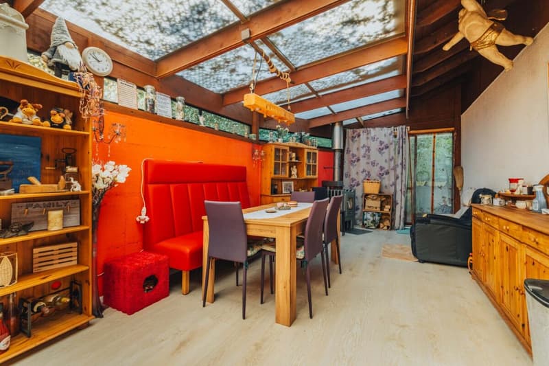 3-Party MFH with many ancillary rooms + garages (14)