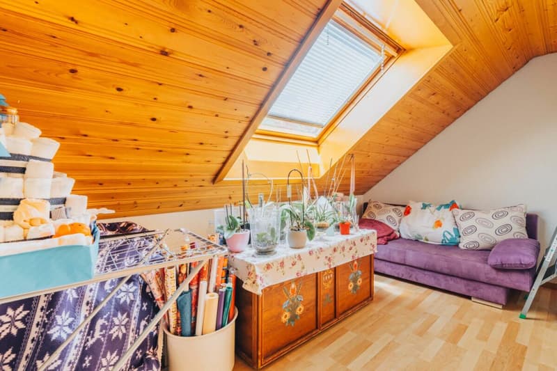 3-Party MFH with many ancillary rooms + garages (18)