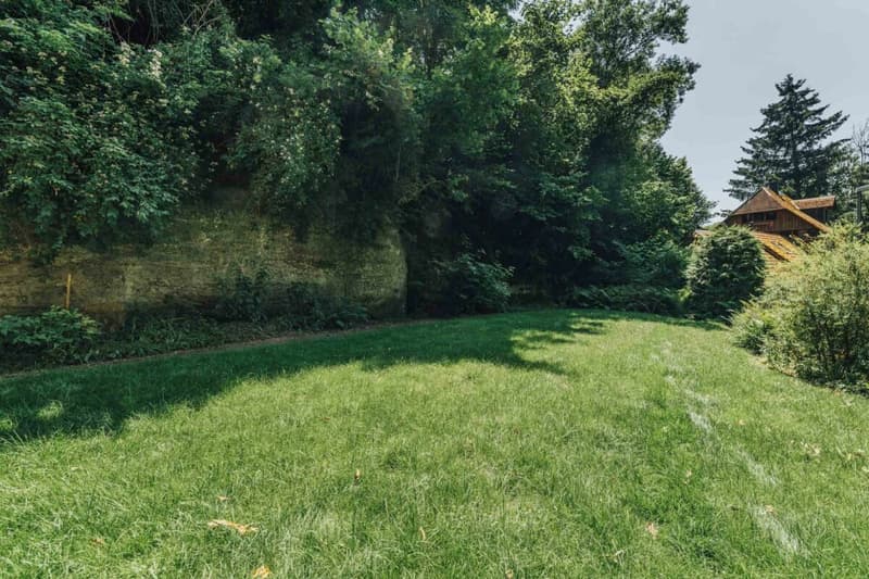 3-Party MFH with many ancillary rooms + garages (26)