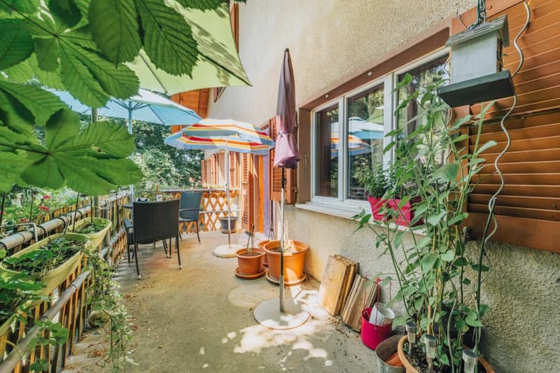 3-Party MFH with many ancillary rooms + garages (13)