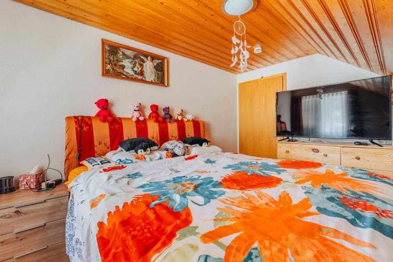 3-Party MFH with many ancillary rooms + garages (16)