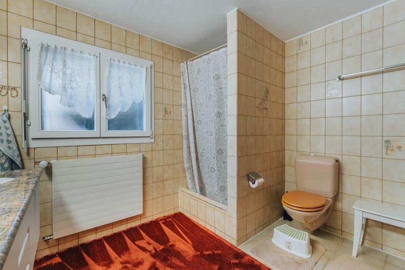 3-Party MFH with many ancillary rooms + garages (12)